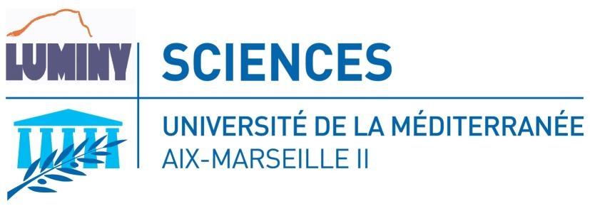 université de luminy